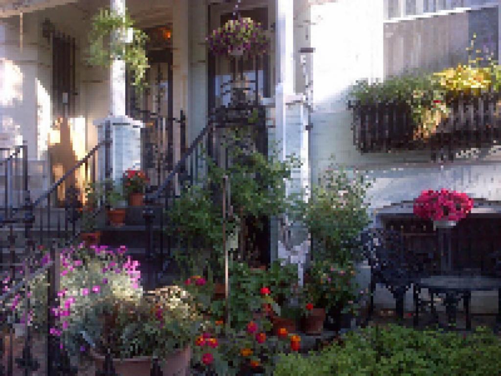 Ledroit Park Renaissance Bed And Breakfast Washington Exterior photo